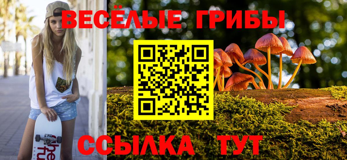 Псилоцибиновые грибы Psilocybine cubensis Карачаевск