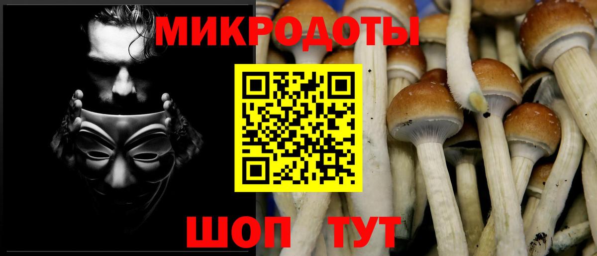 Карачаевск  Псилоцибиновые грибы мухоморы  Вход с VPN 